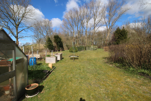Blick in den Garten