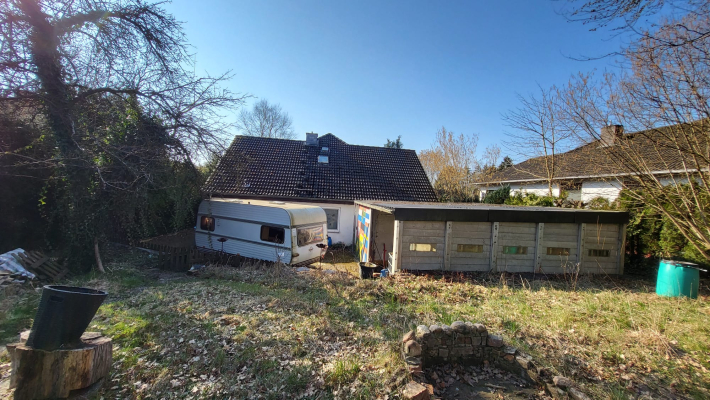 Blick aus dem Garten