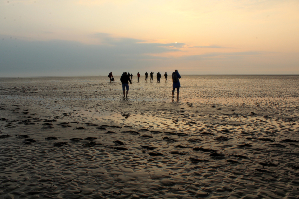 Hamburger Hallig Sonnenuntergang mit Fotogruppe
